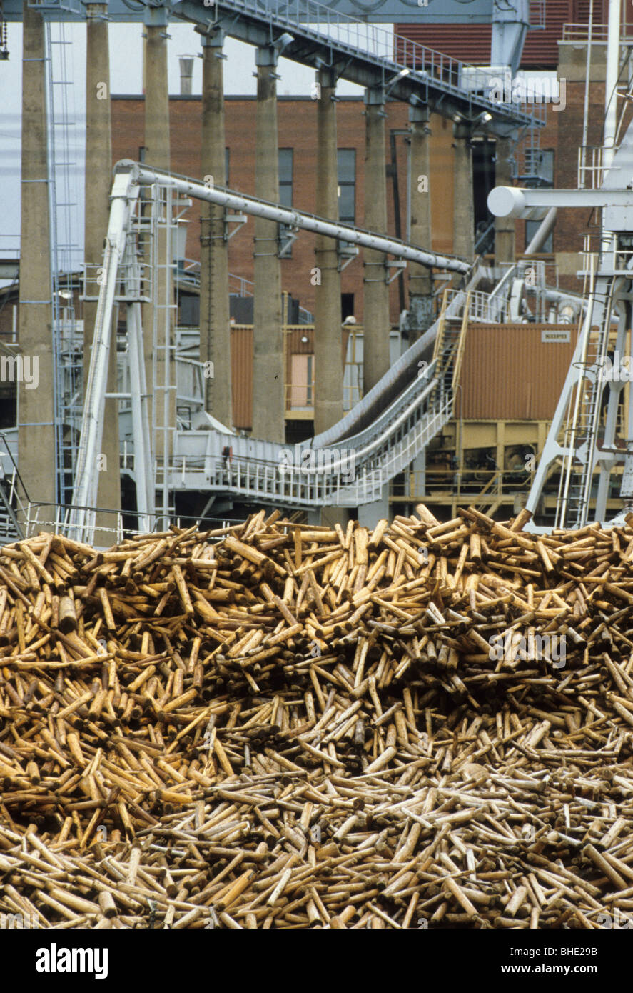 wood industry Stock Photo