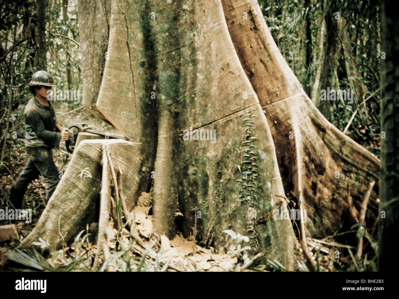 deforestation, amazonian, brasil Stock Photo