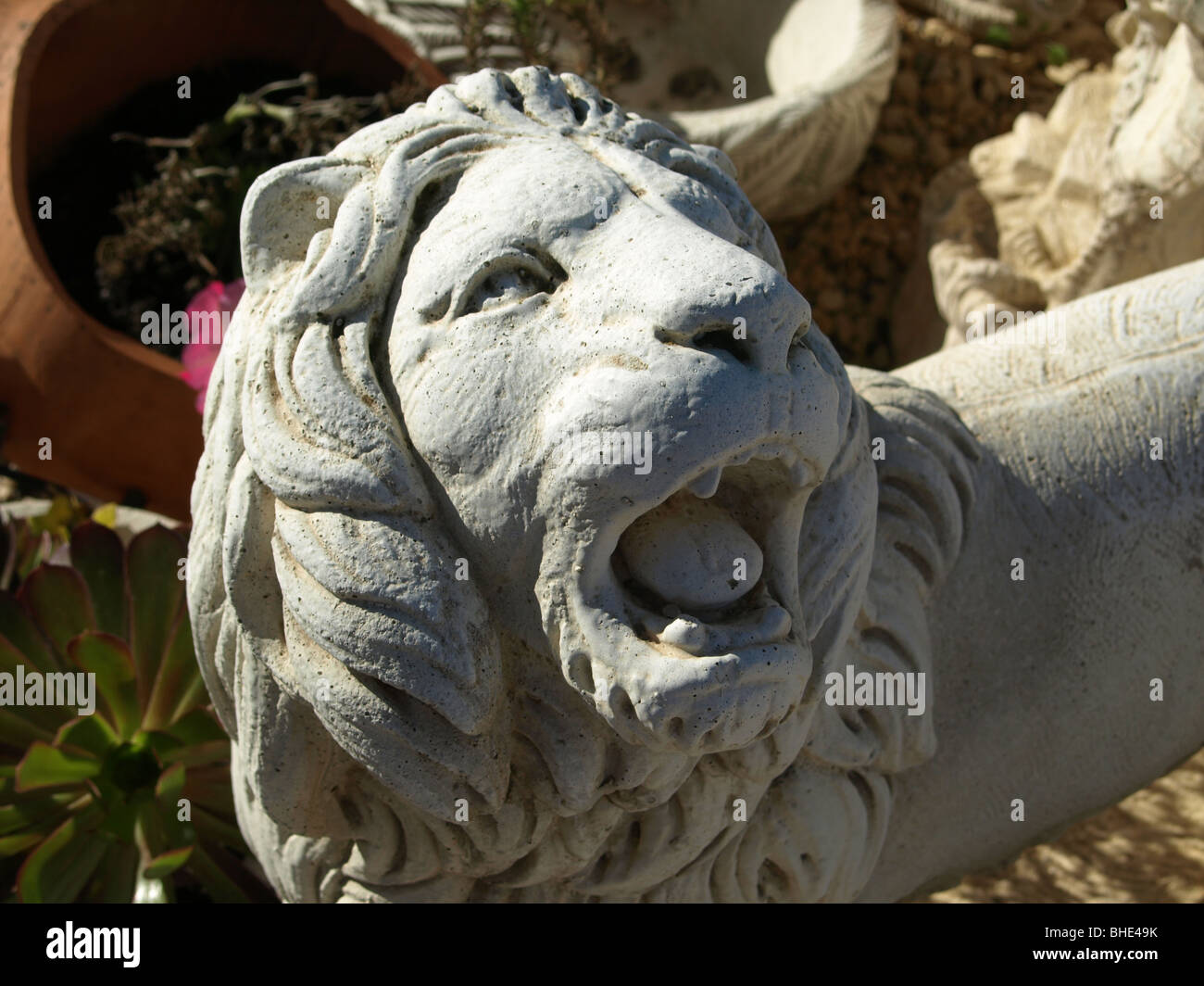 Lion ornament hi-res stock photography and images - Alamy