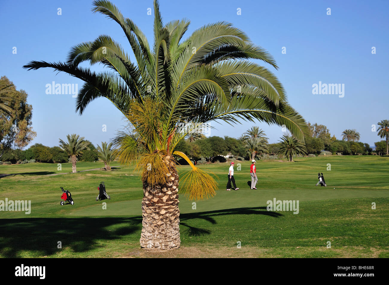 Golfers on El Kantaoui Golf Course fairway, Port El Kantaoui, Sousse Governorate, Tunisia Stock Photo
