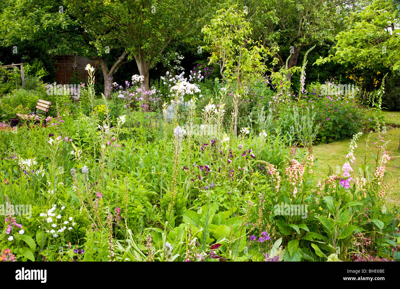 A typical English country or town, suburban garden in late May Stock Photo