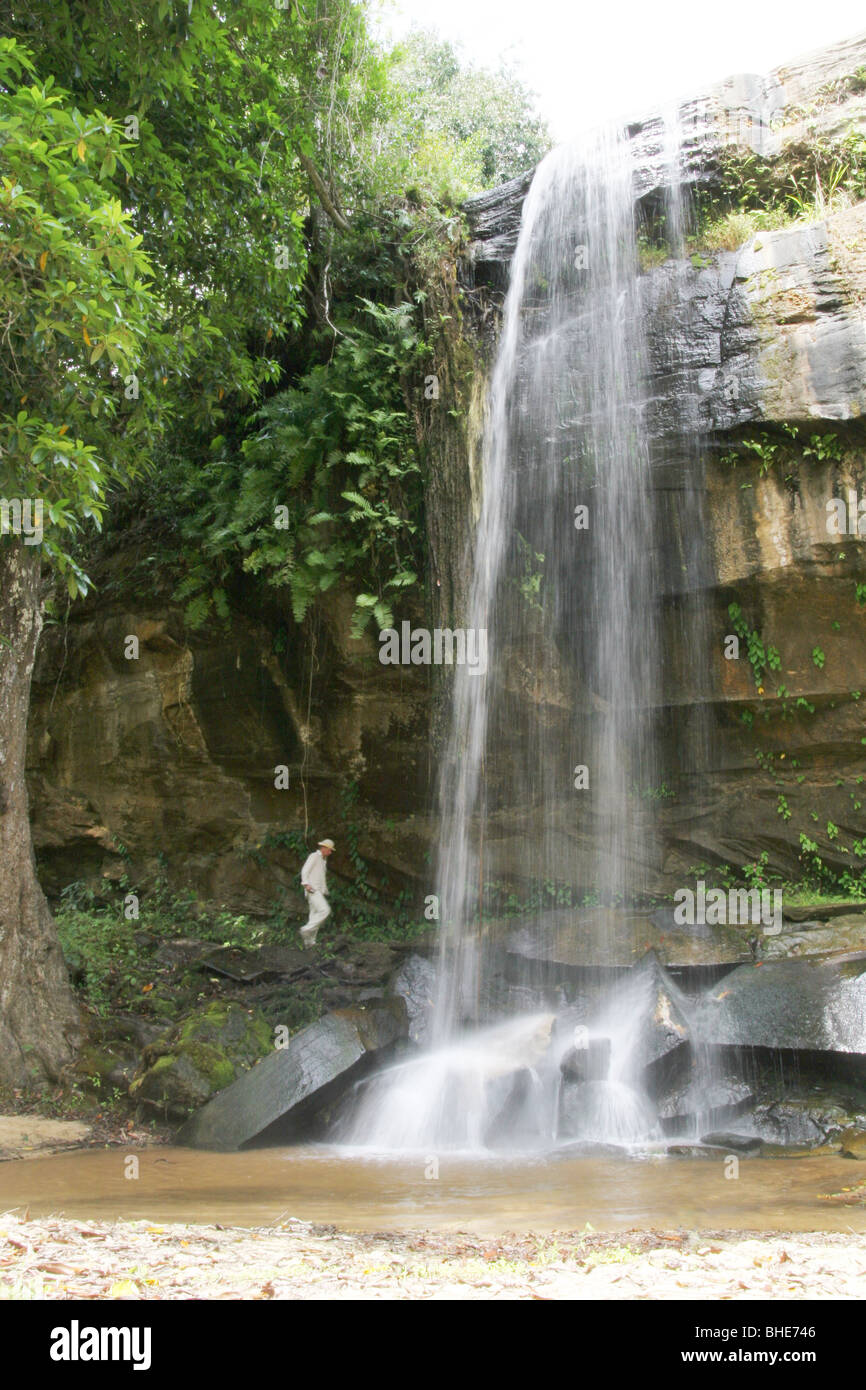 Sheldrick falls, Shimba Hills National Reserve, Kenya Stock Photo Alamy
