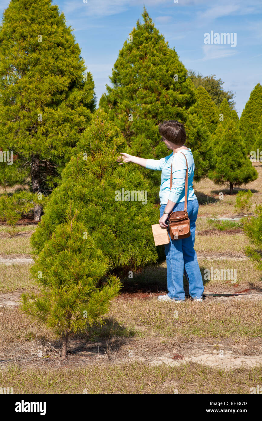 Inspects hires stock photography and images Alamy