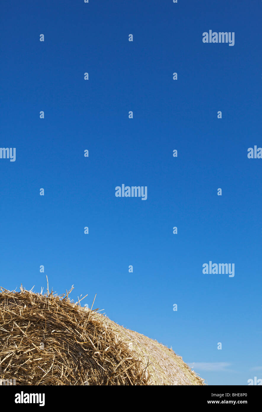 Top part of round straw bale against strong blue sky Stock Photo - Alamy
