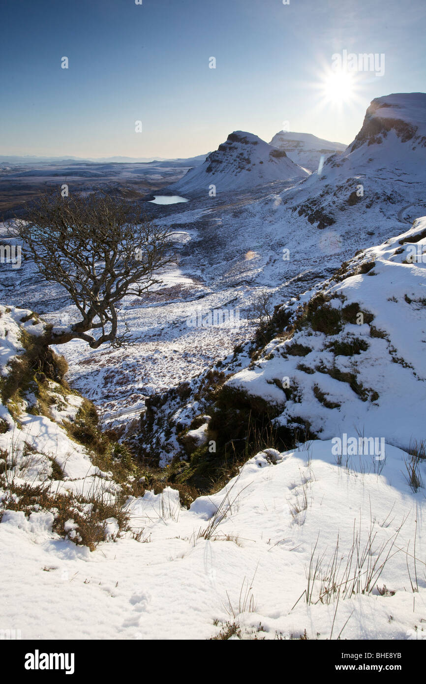 The quiraing tree hi-res stock photography and images - Alamy