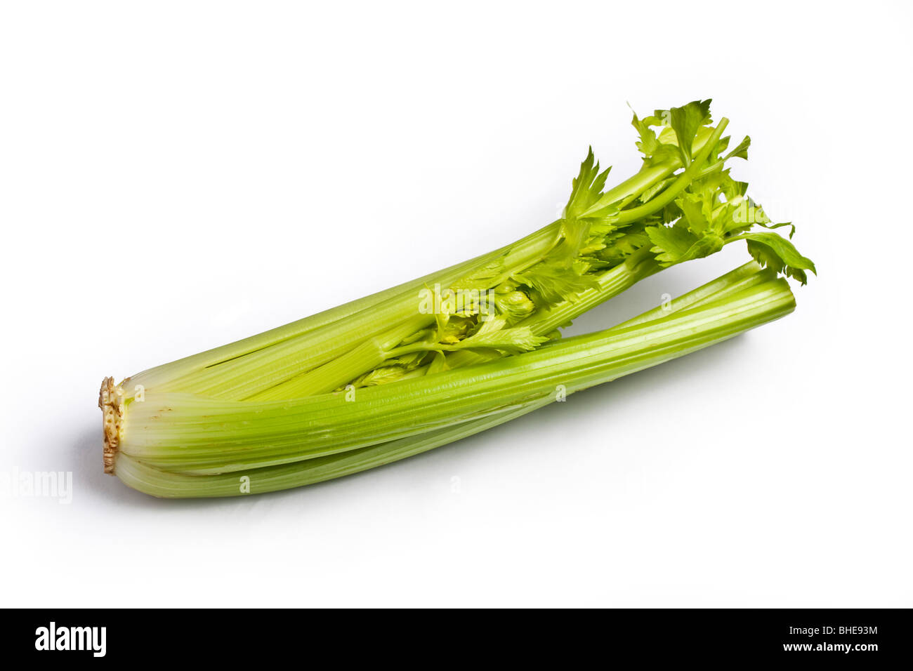 a bunch of celery Stock Photo Alamy