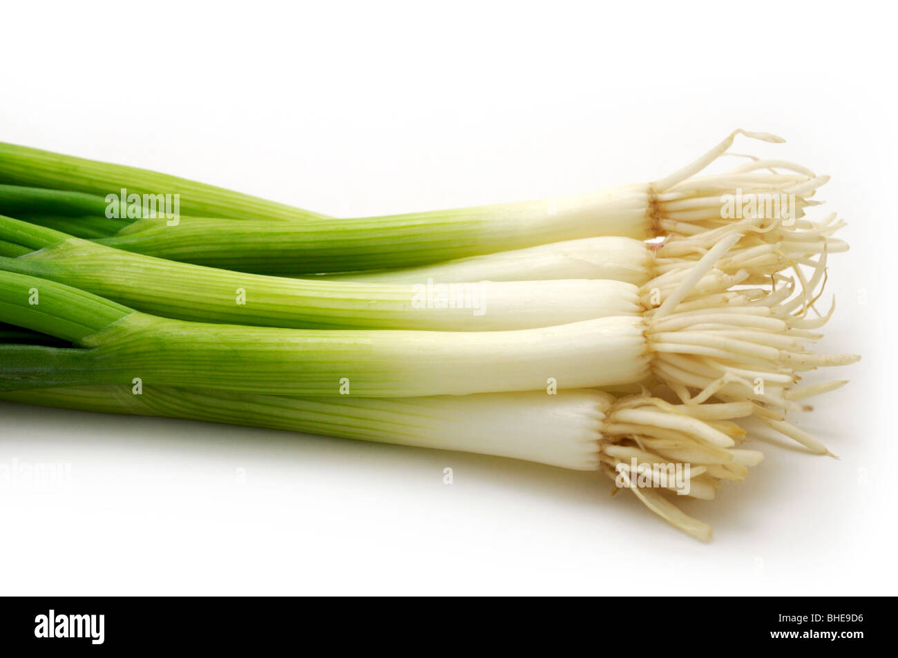 Green/Spring Onion Stock Photo