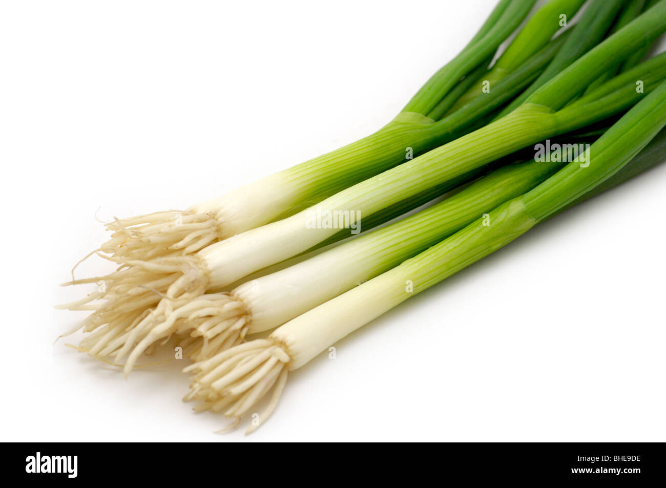 Green/Spring Onion Stock Photo