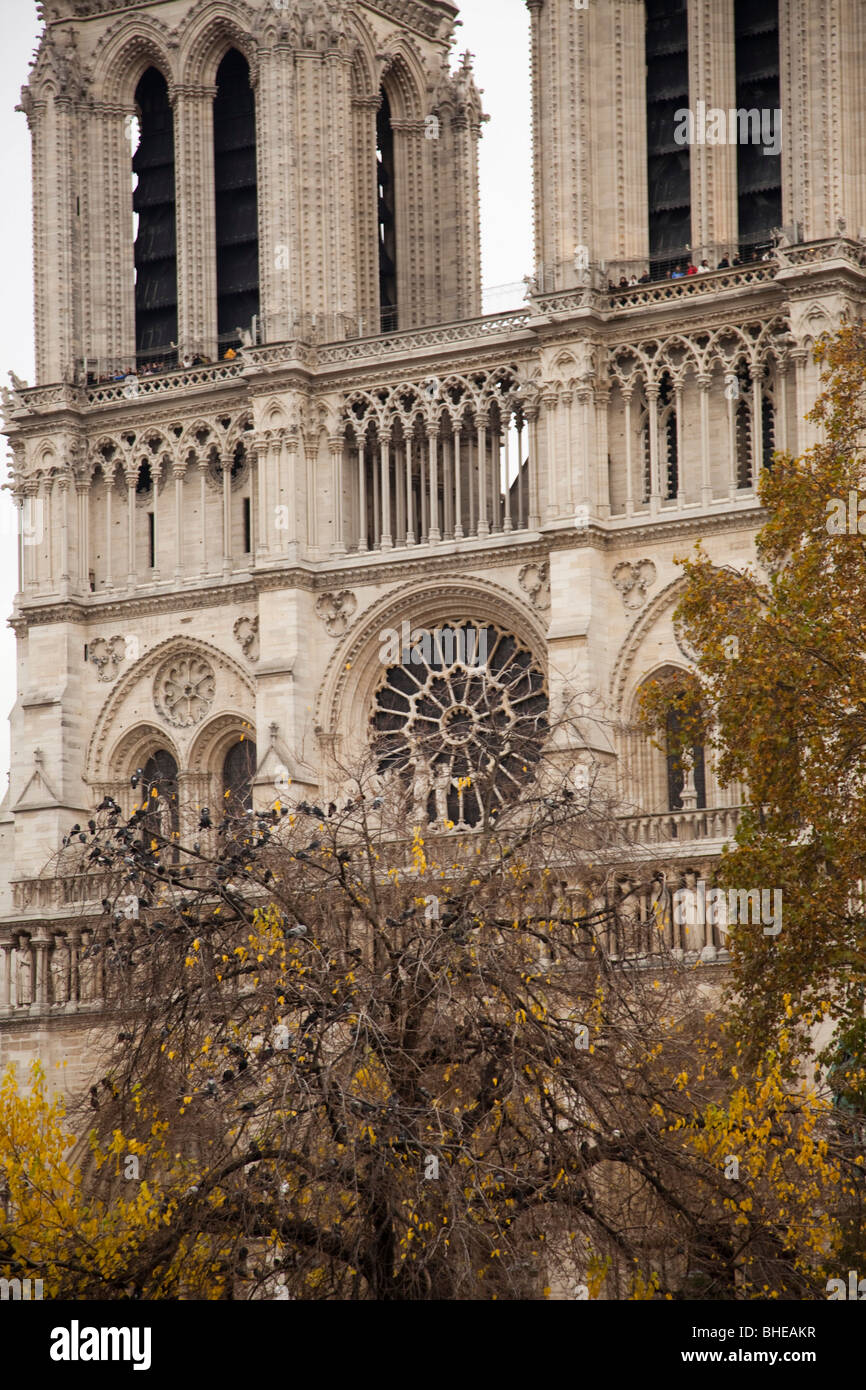 Noder Dem Front of the Notre Dam cathedral Stock Photo - Alamy