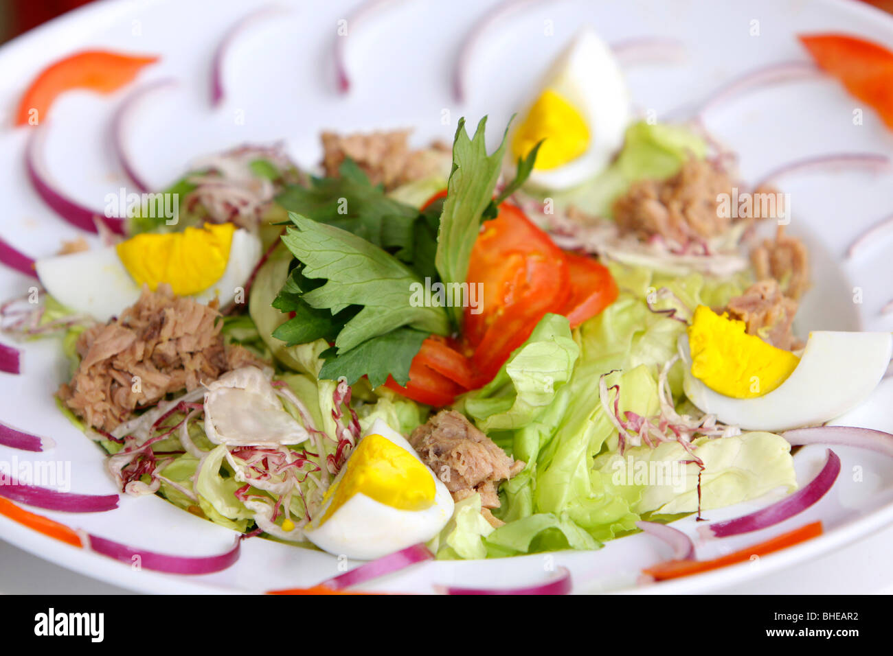 Mixed salad with egg and tuna Stock Photo Alamy