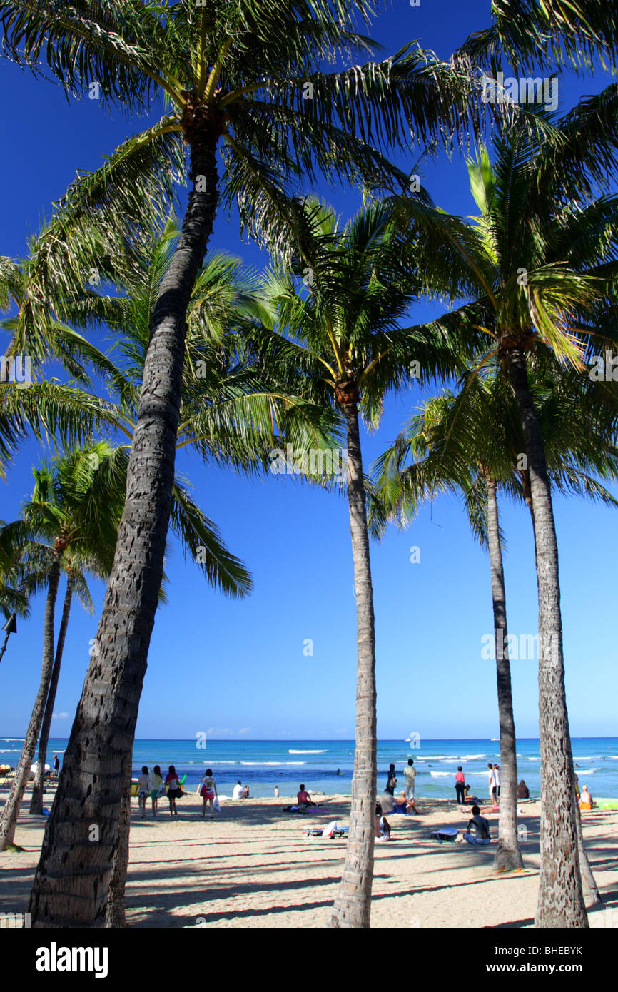 Honolulu oahu hi-res stock photography and images - Alamy