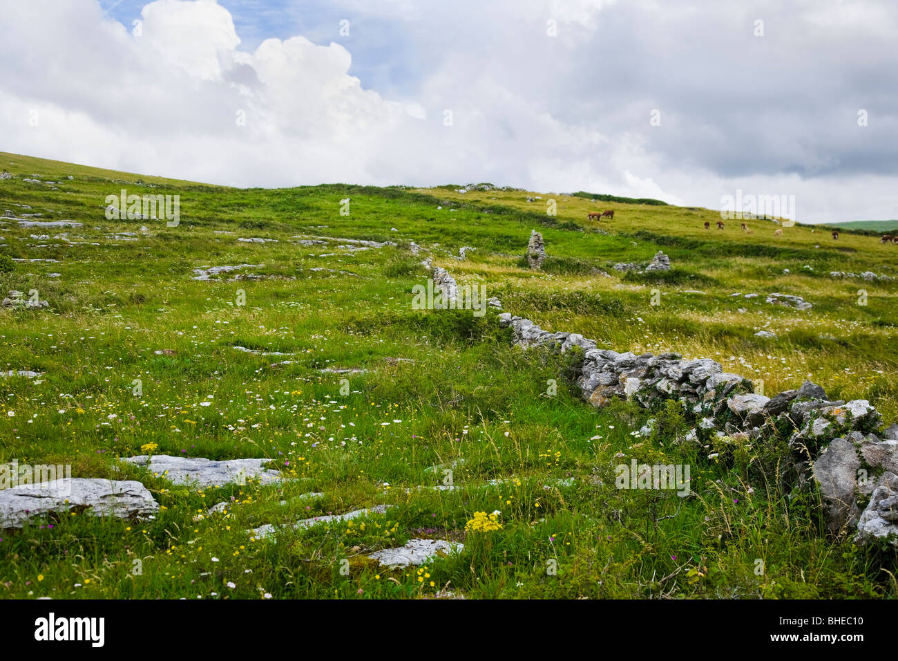 Grazing land on a hillside in the Burren, County Clare, Ireland. Stock Photo