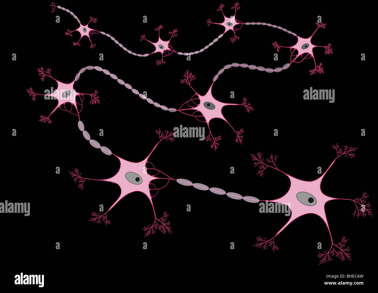 Illustration of a neuron net Stock Photo