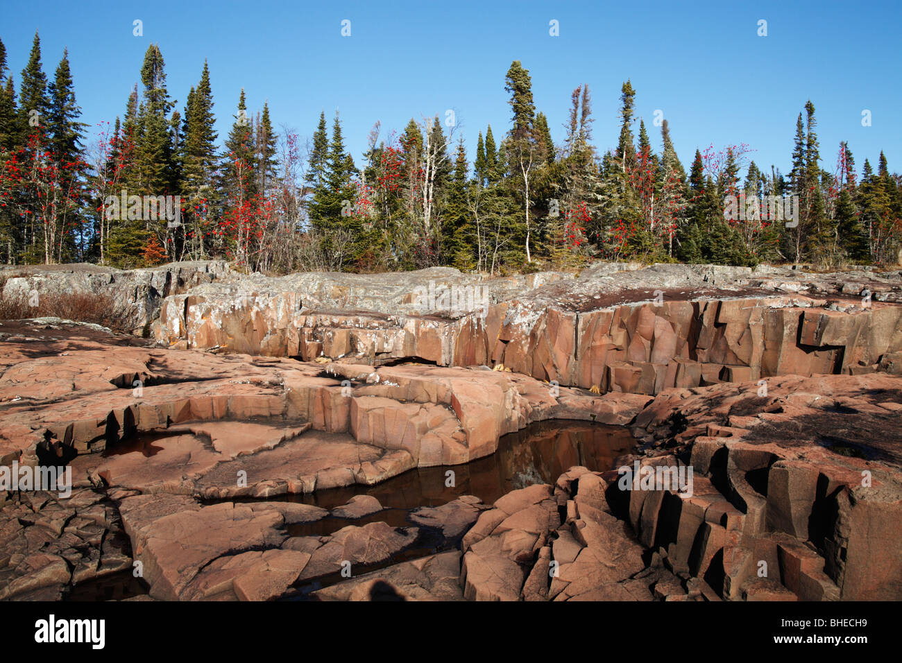 Minnesota Boreal Forest
