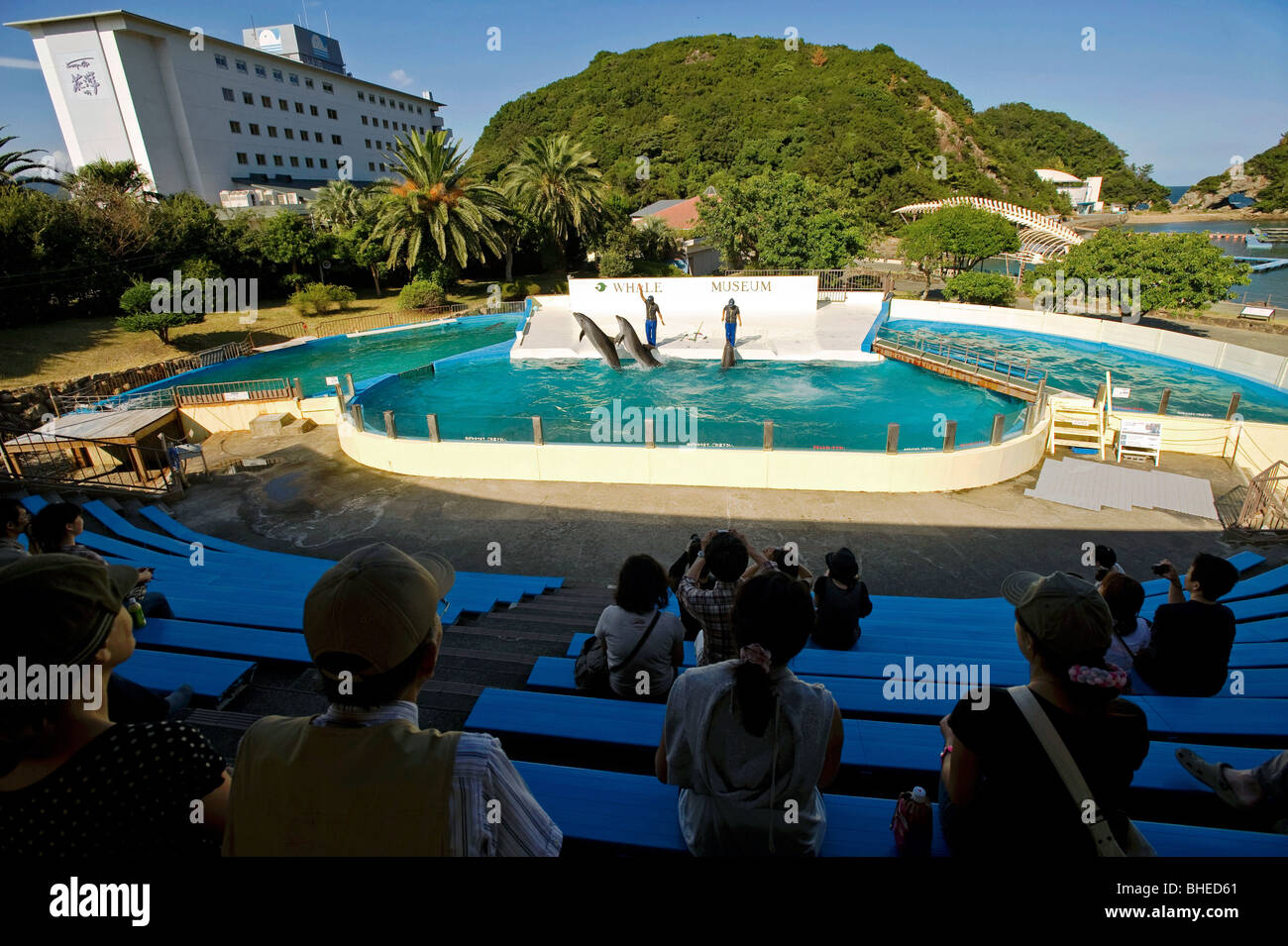 Visitors enjoy a dolphin show at a dolphinarium inside the grounds of the whaling museum in Taiji, Japan Stock Photo