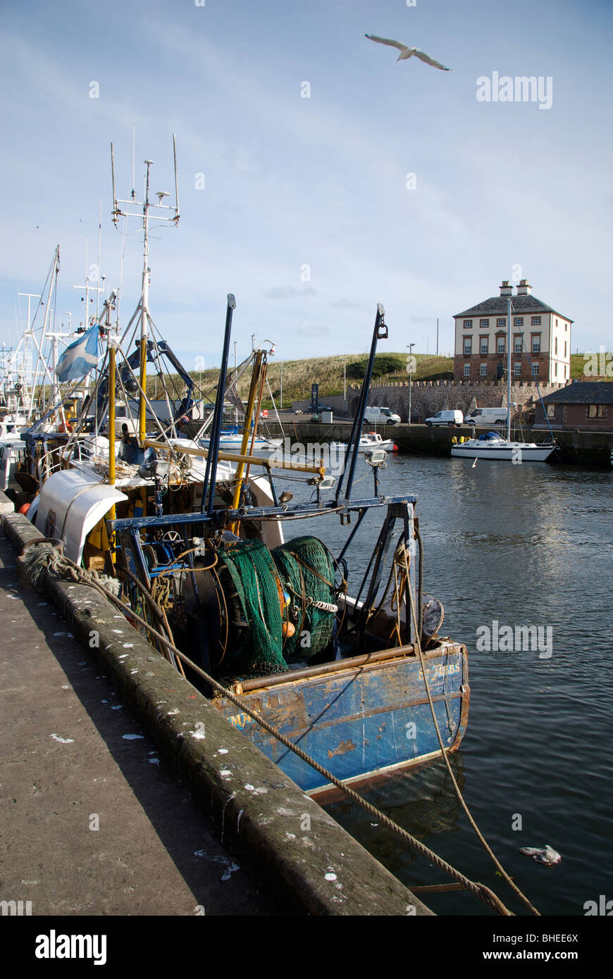 Eyemouth Border Scotland UK Harbour Harbor Boats Fishing Quay Stock ...