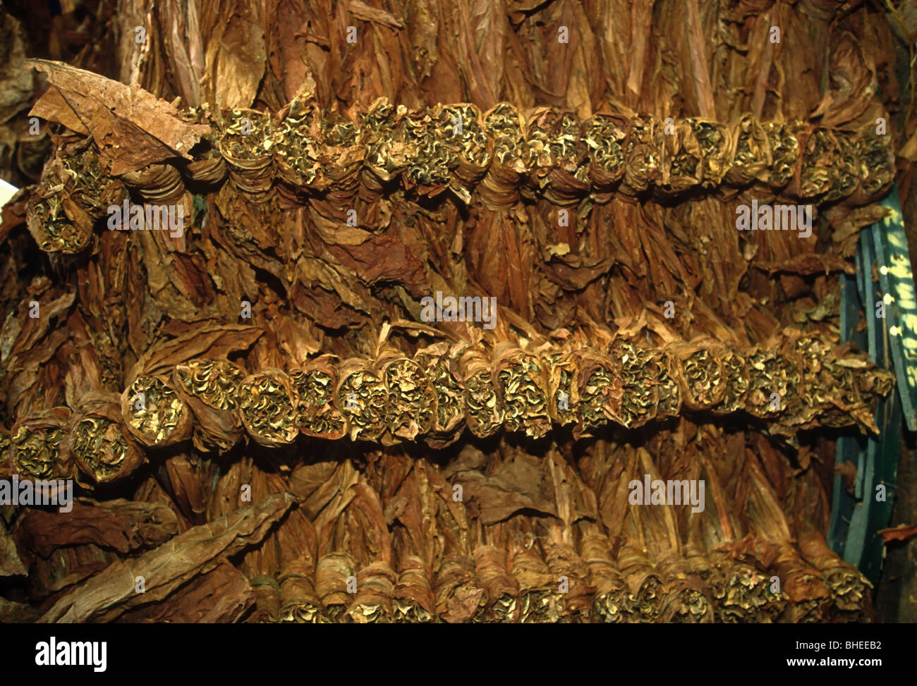 tobacco and sleep Many people use tobacco to “relax,” but it can actually increase stress  hormones and interfere with your sleep cycle. The good news? Sleep often  improves after quitting. Better sleep can mean better
