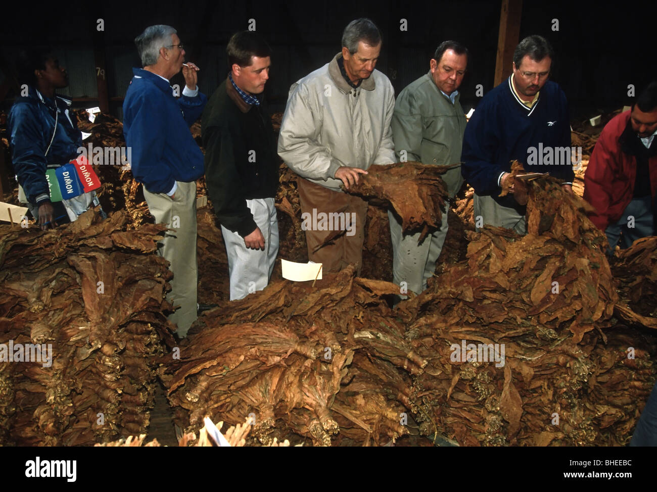 tobacco buyers Tobacco buyers bid on bundles of tobacco during the annual tobacco auctions  April 7, 1998 in Hughesville, MD Stock Photo
