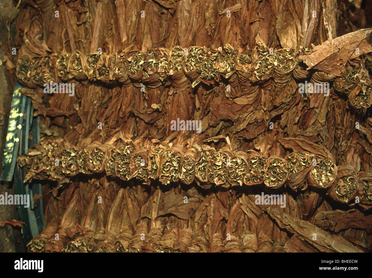 Tabaco Block Stacks of dried tobacco awaits the auction block at the Hughesville, MD ...