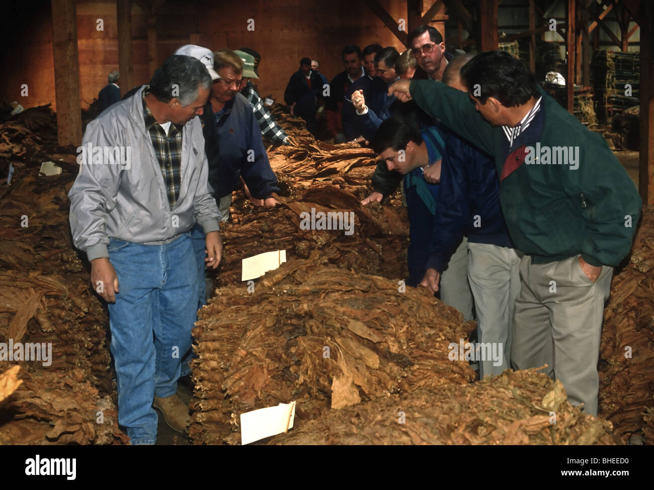 tobacco buyers Tobacco buyers bid on bundles of tobacco during the annual tobacco auctions  April 7, 1998 in Hughesville, MD Stock Photo