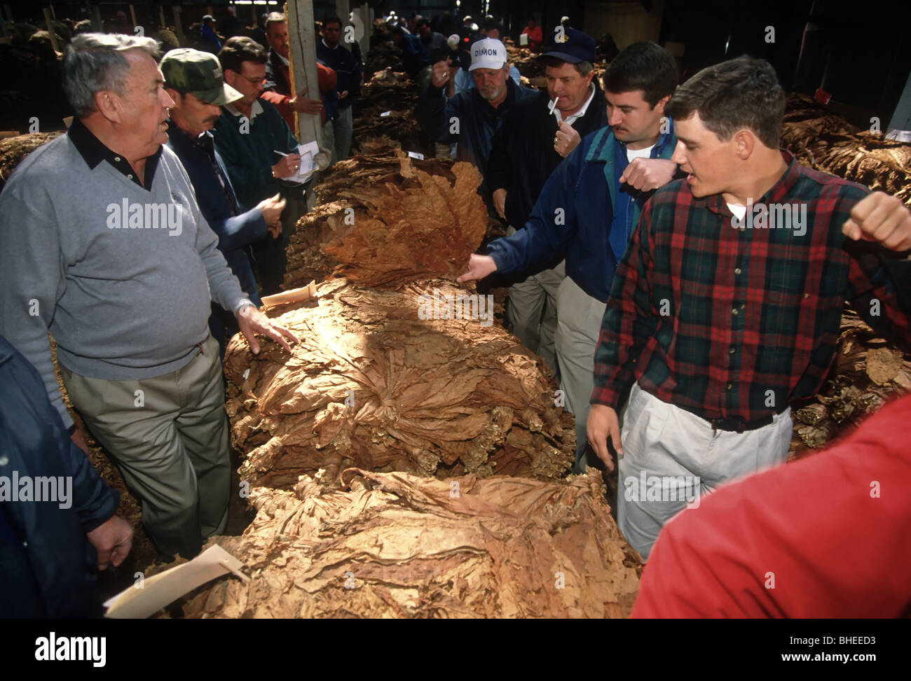 tobacco buyers Tobacco leaf auction cigarettes hi-res stock photography and images