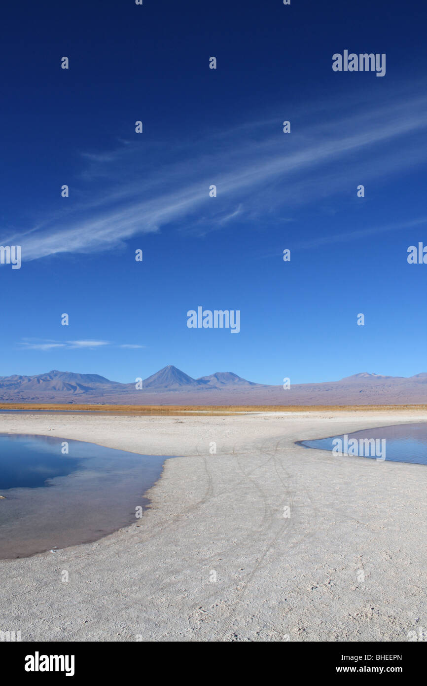 Laguna Cejar, Atacama desert Stock Photo