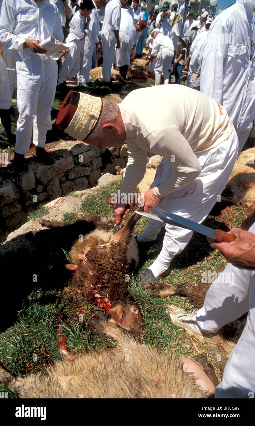 Samaria, the Samaritan Passover Sacrifice on Mount Gerizim Stock Photo