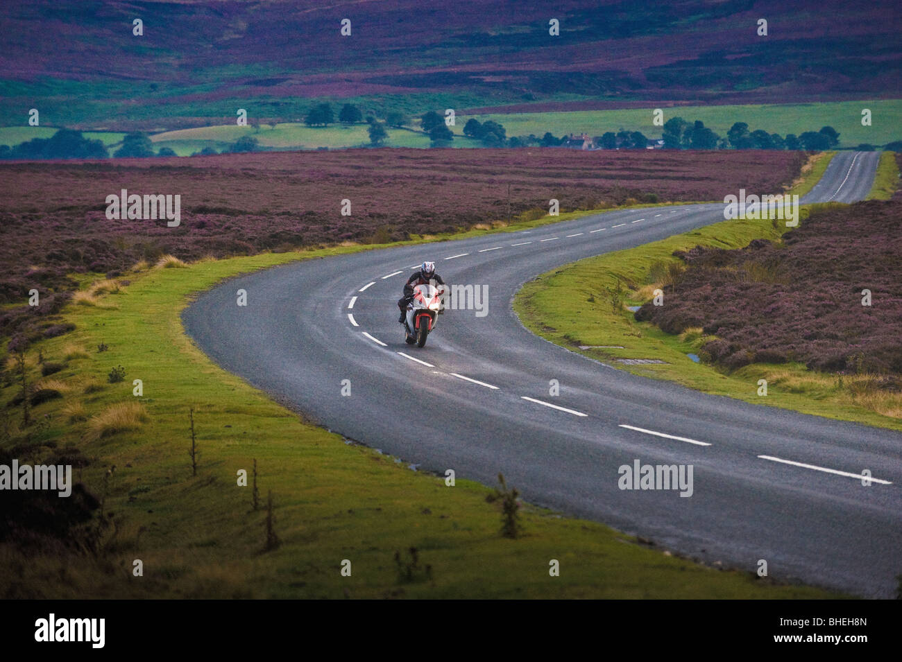 Front view of motorcyclist on a bending road on the heather moorland of the North Yorkshire Moors National Park. UK Stock Photo