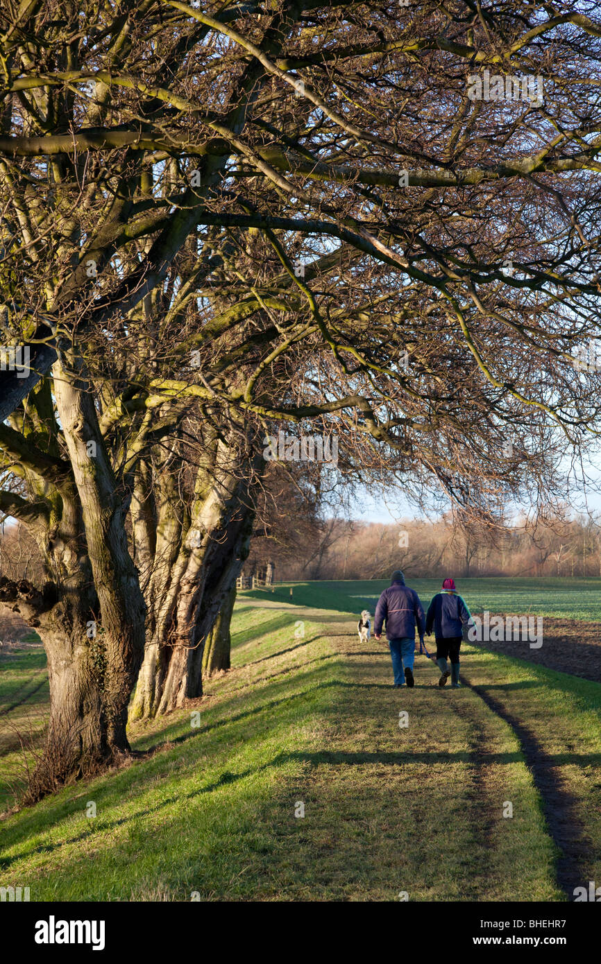 Airmyn Hi res Stock Photography And Images Alamy airmyn-hi-res-stock-photography-and-images-alamy