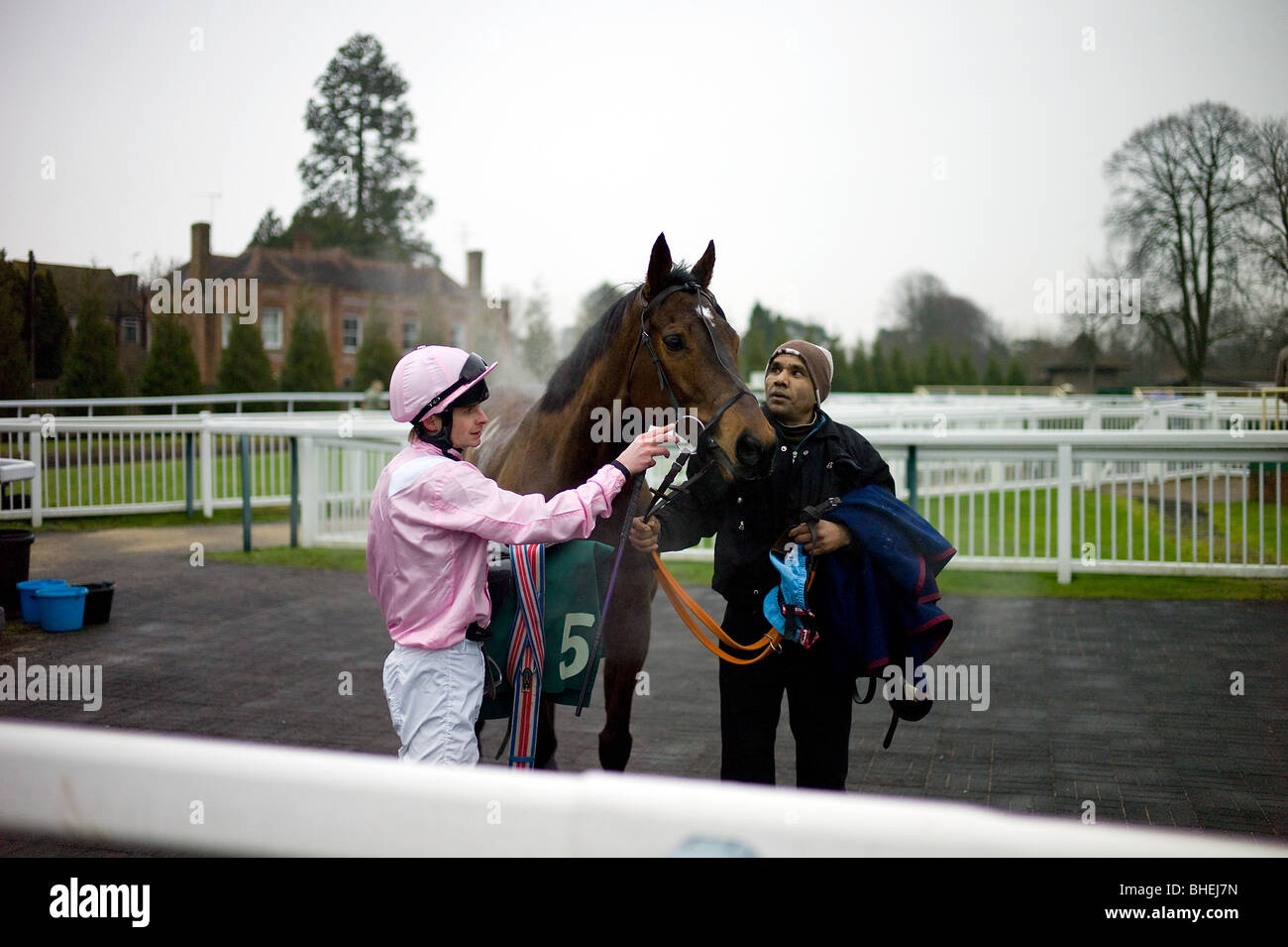 Jockey, Horse and stable hand with steam coming off the horse Stock ...