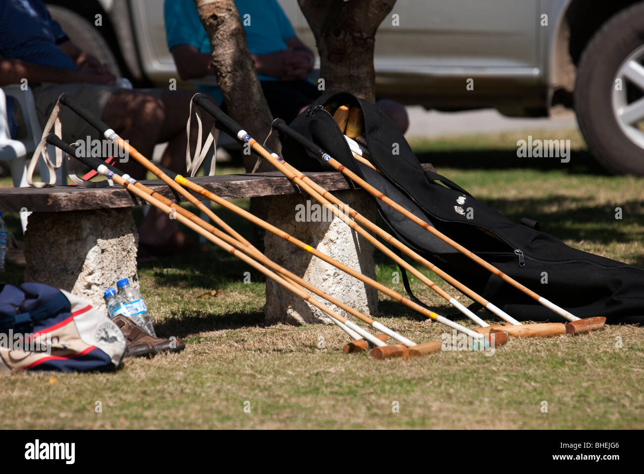 Polo mallets or sticks lined up against a bench at the Apes Hill polo ground on the Caribbean island of Barbados Stock Photo