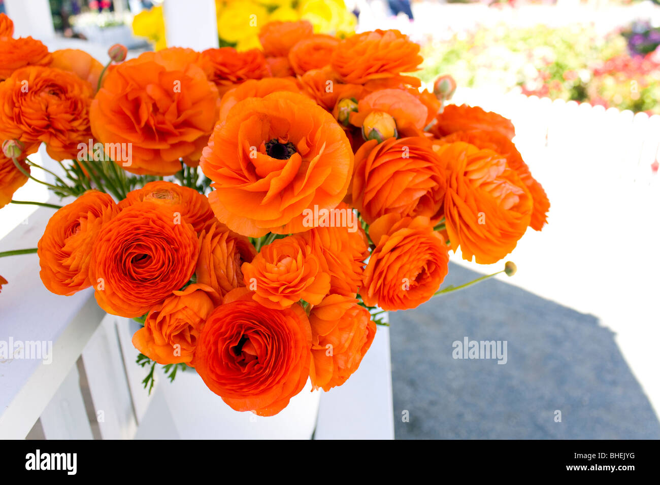 Flowers in vase Stock Photo Alamy