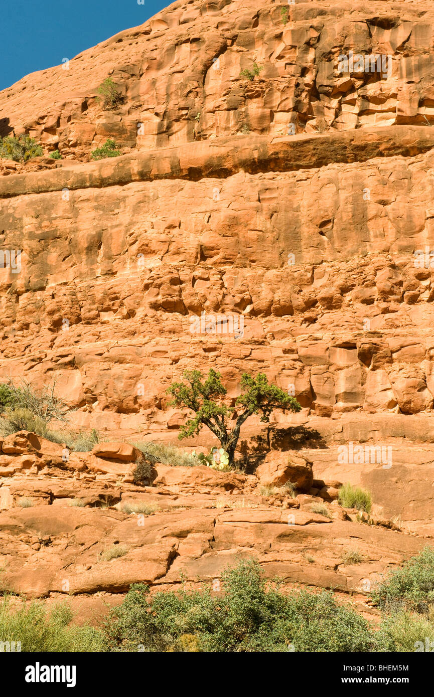 Bell Rock Pathway outside the Village of Oak Creek, Arizona Stock Photo