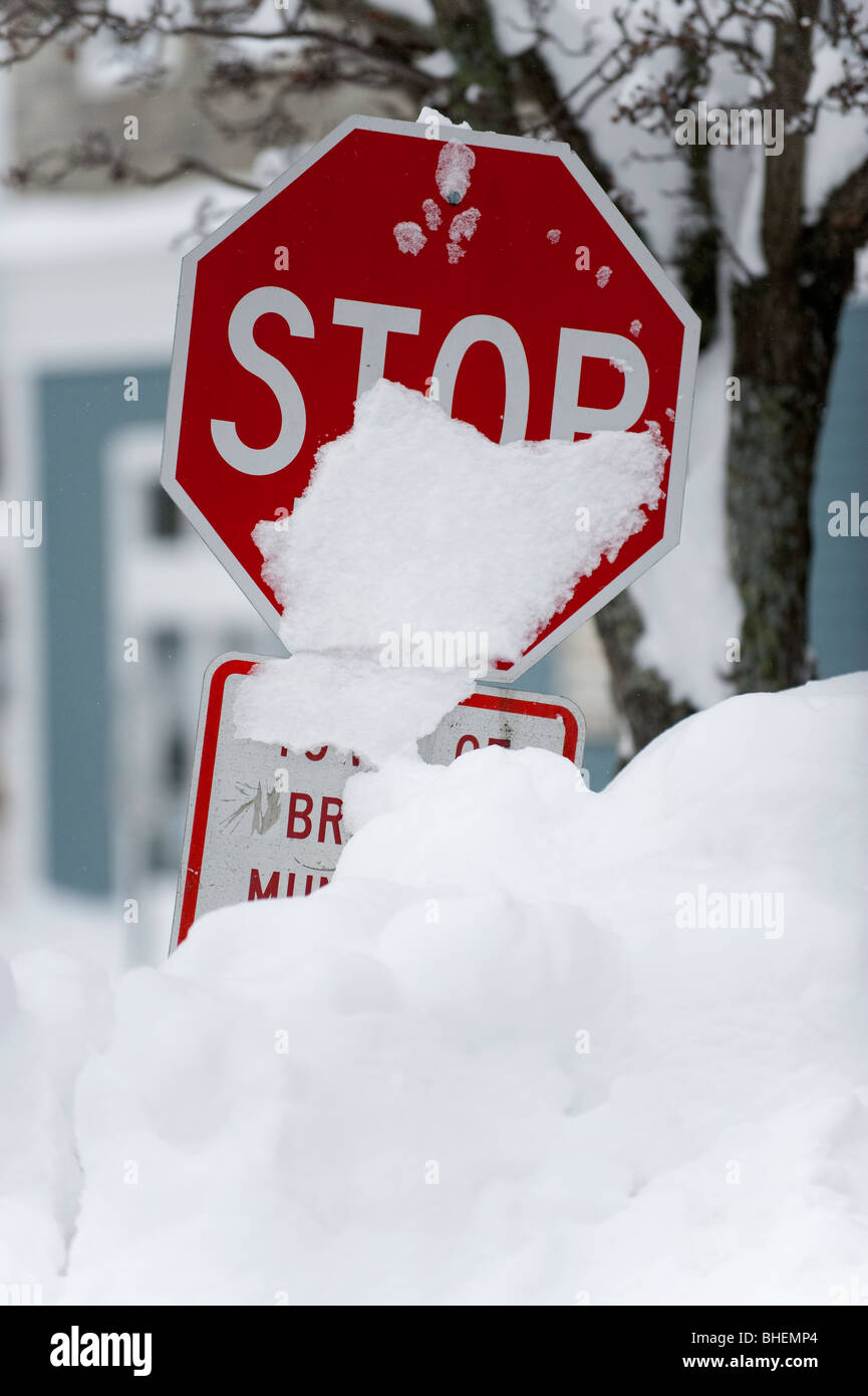 Snow Covered Stop Sign Stock Photos & Snow Covered Stop Sign Stock