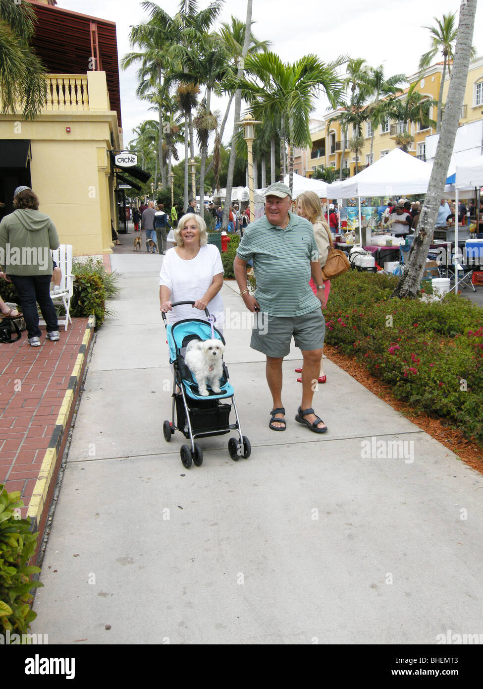 Couple strolling with their pet terrier dog in a stroller on Fifth Ave Naples Florida USA Stock Photo