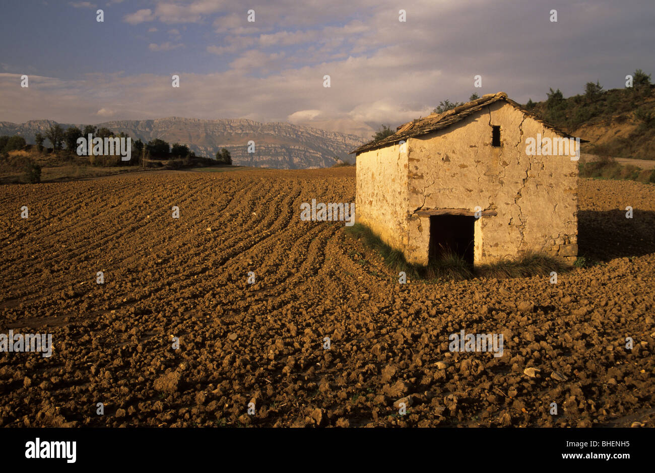 Campo de cultivo hi-res stock photography and images - Alamy
