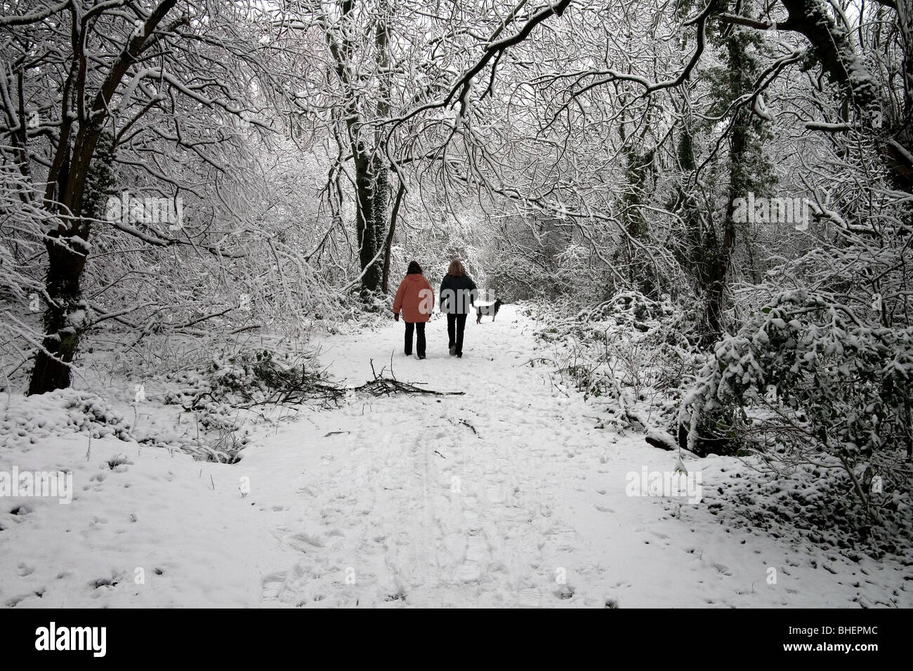 two women walking in snowy woods Stock Photo - Alamy