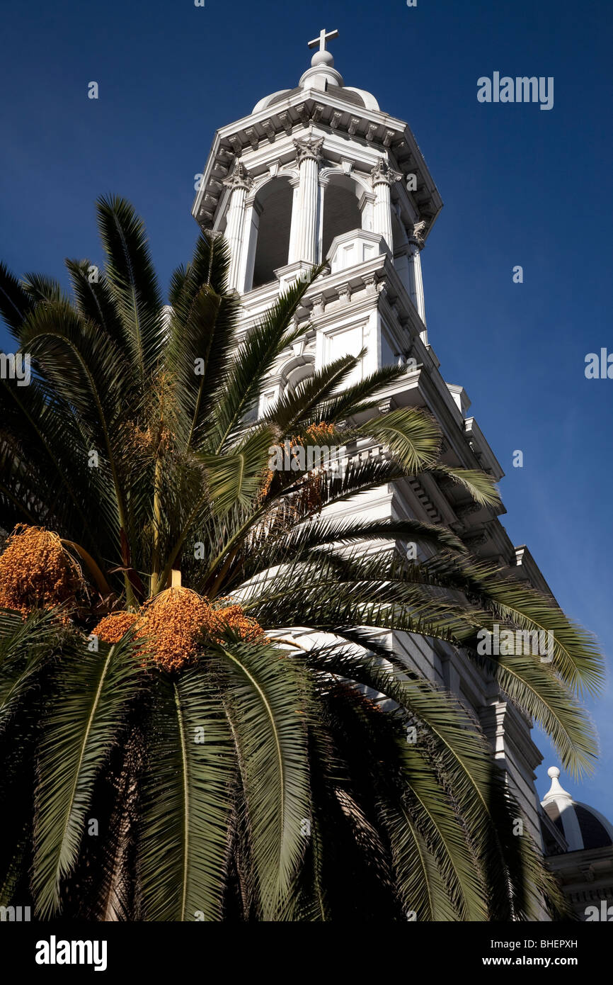 A spire of the Cathedral Basilica of Saint Joseph in San Jose, California towers over a neighbouring palm tree. Stock Photo