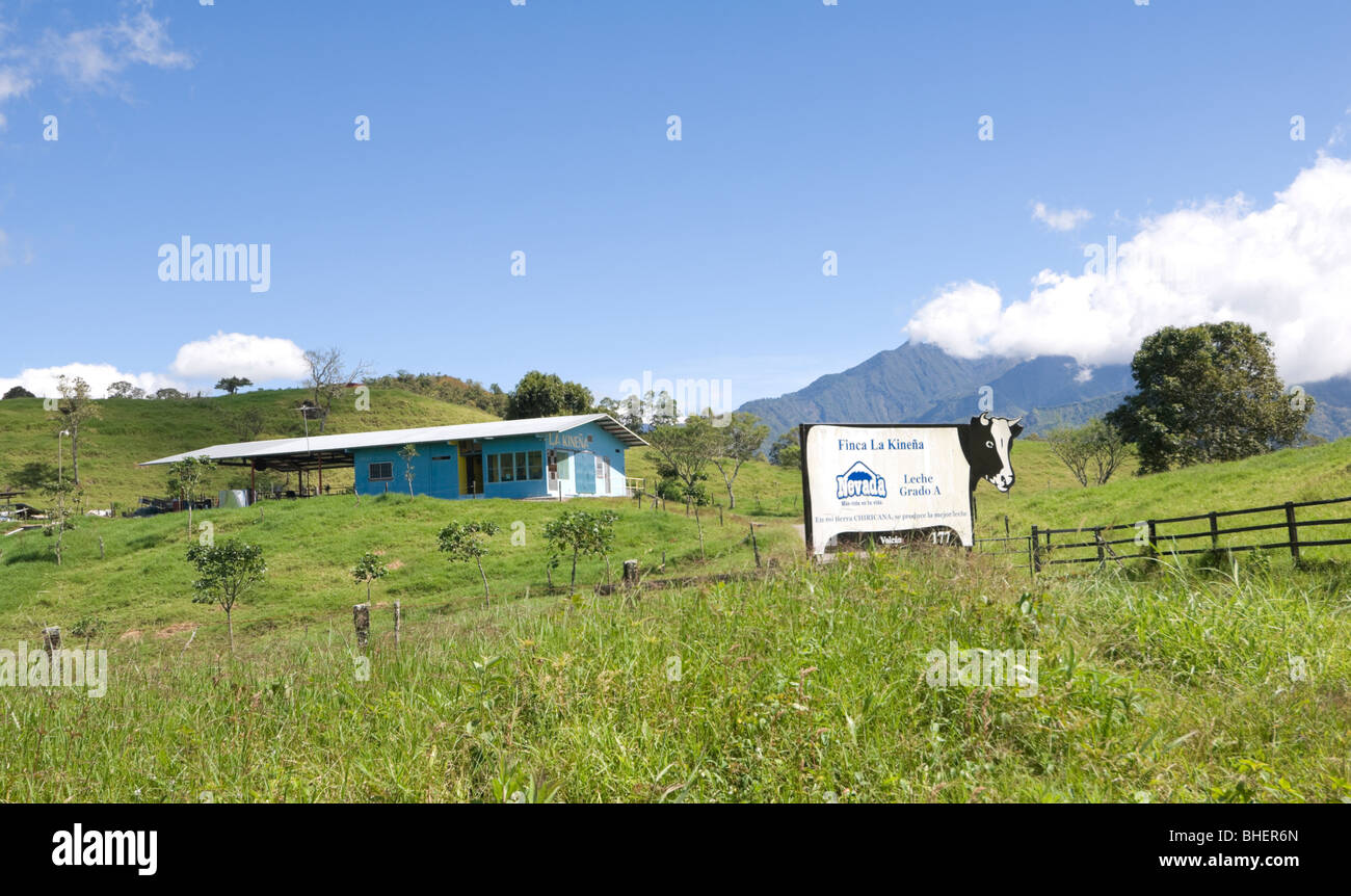 Panama Chiriqui Province Finca Dairy Farm Stock Photo