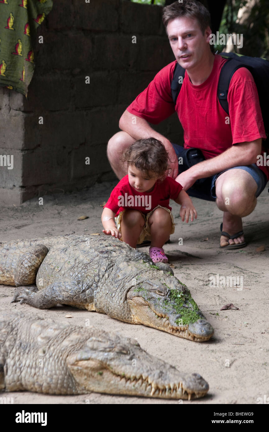 A family enjoys Crocodiles in Kachikally Crocodile Pool, Bakau, The Gambia, West Africa Stock Photo