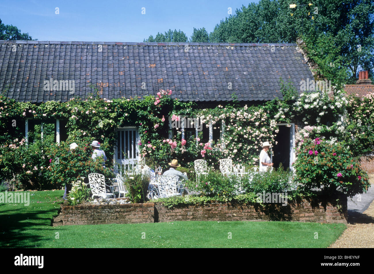 Mannington Hall Tea Room Terrace Norfolk England Uk People