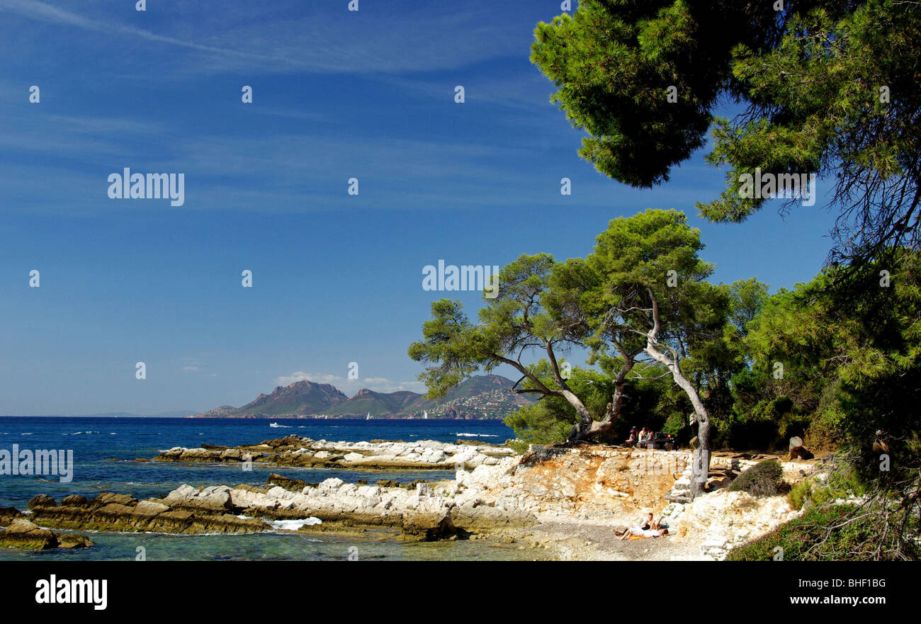 Île SainteMarguerite island(06 Stock Photo Alamy