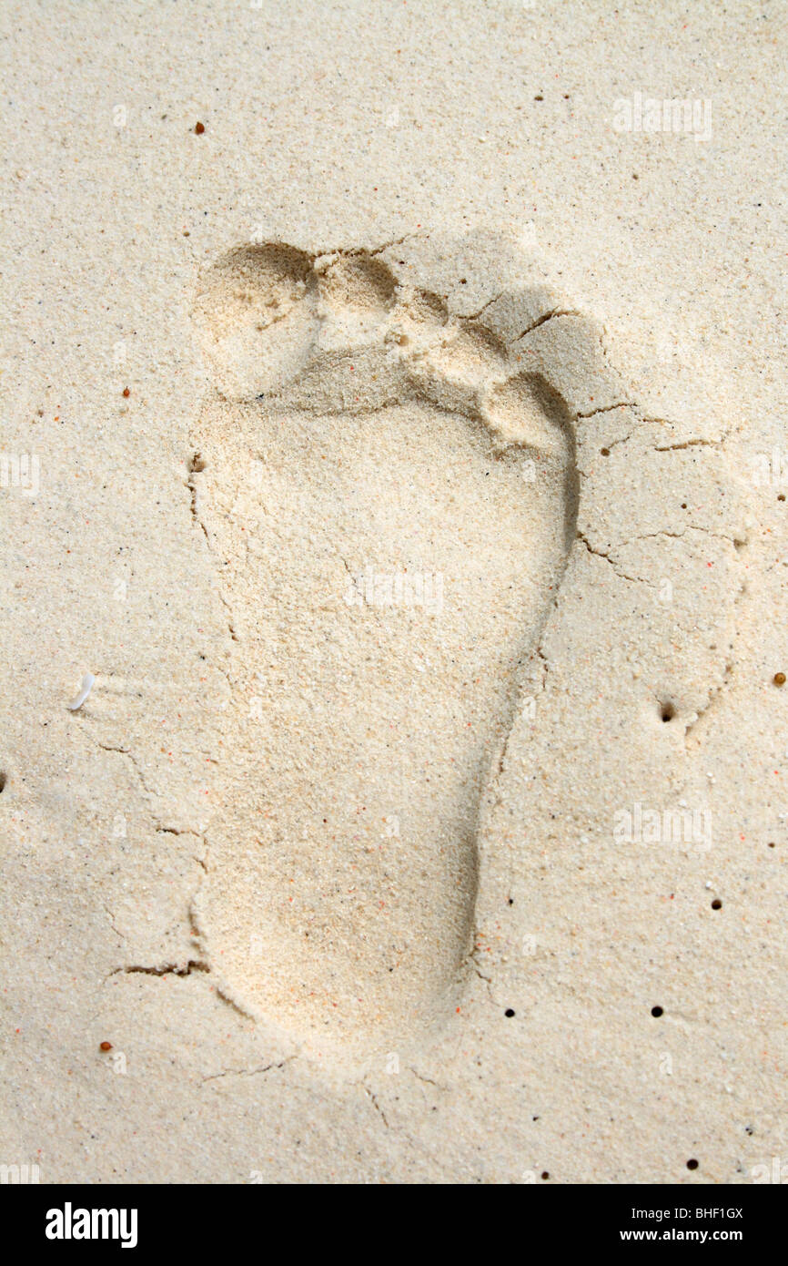 Footprint in the sand Stock Photo Alamy