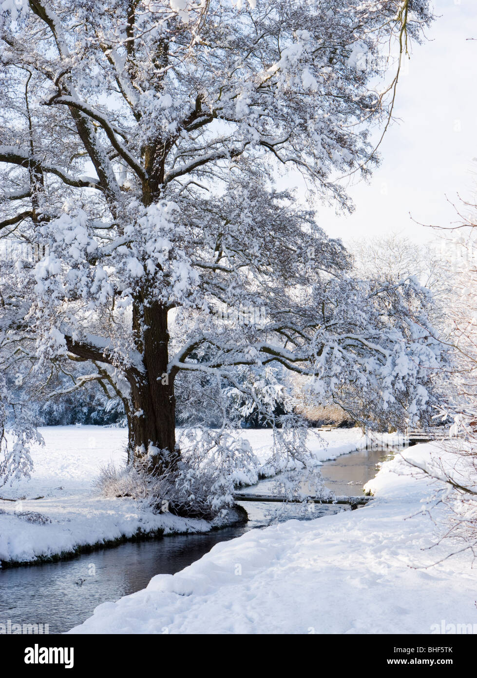 Winter at Abinger Hammer, Surrey, UK. Tilling Bourne. Stock Photo