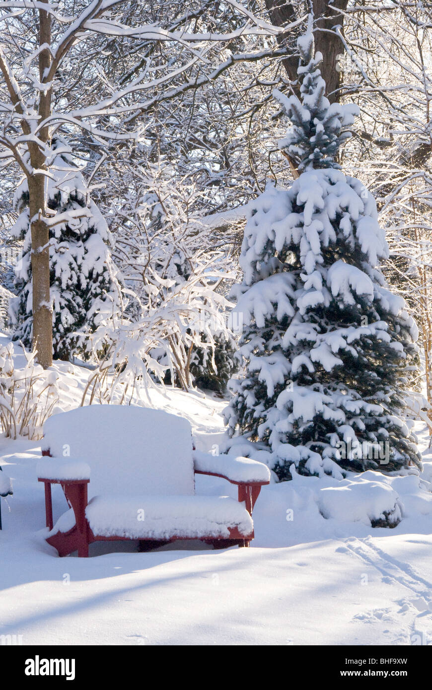 Garden Bench in Winter Garden Stock Photo