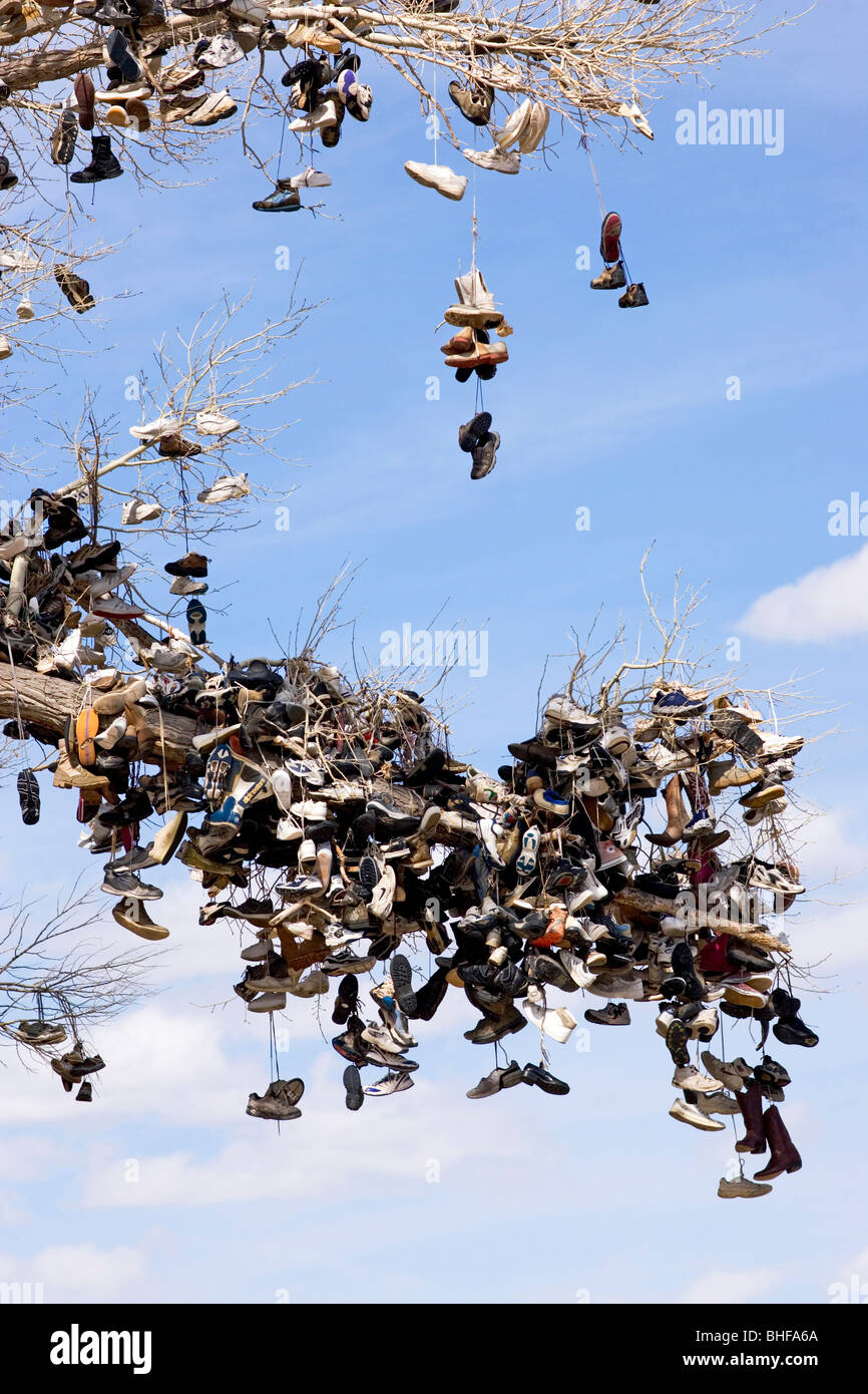 Shoes hanging in tree branches hires stock photography and images Alamy