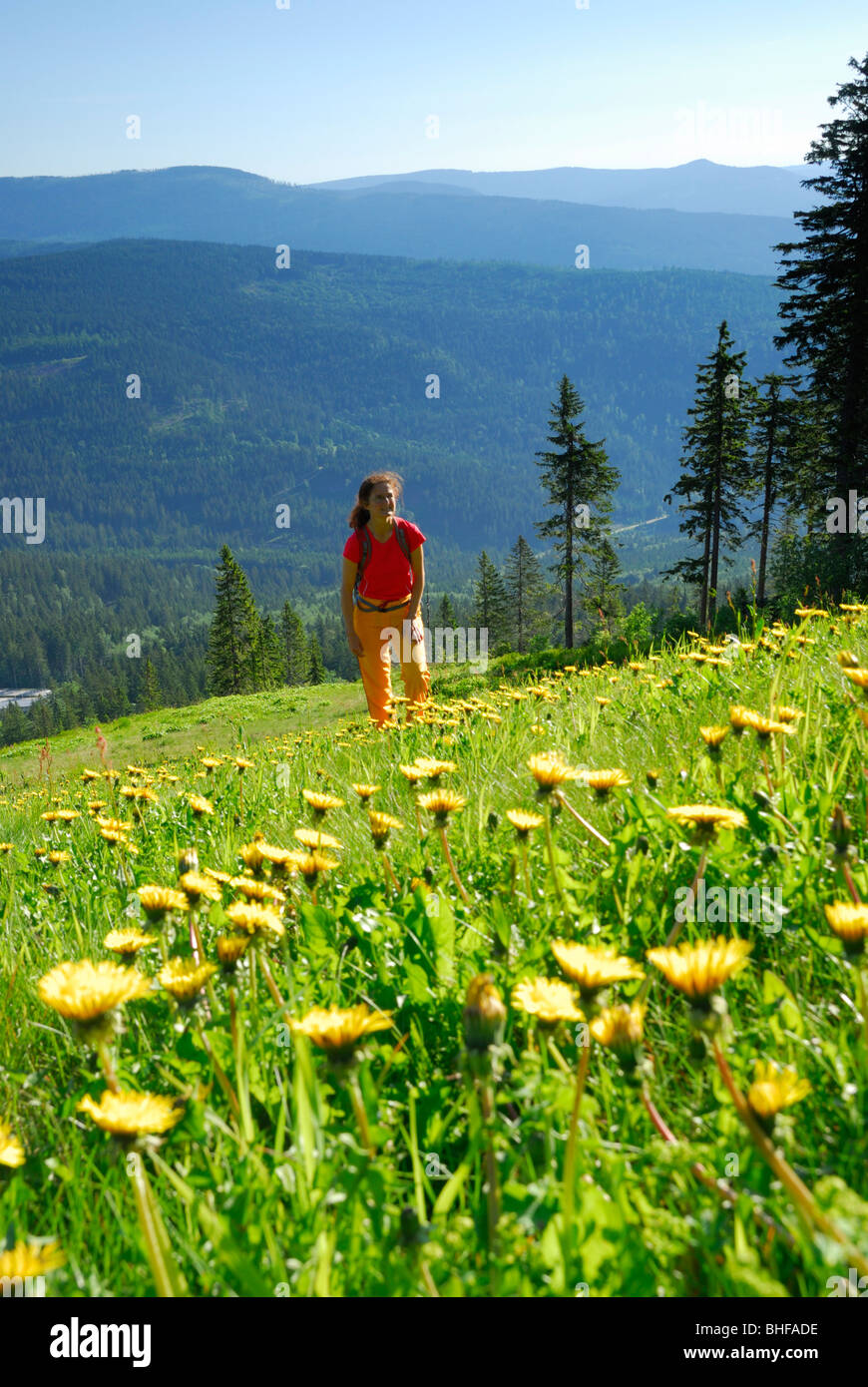 Woman in red hiking through the forest hi-res stock photography and ...