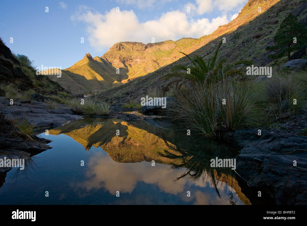 Reflection of the mountain Faneque on a creek, Barranco del Charco Azul, Valley of El Risco, Parque Natural de Tamadaba, Gran Ca Stock Photo