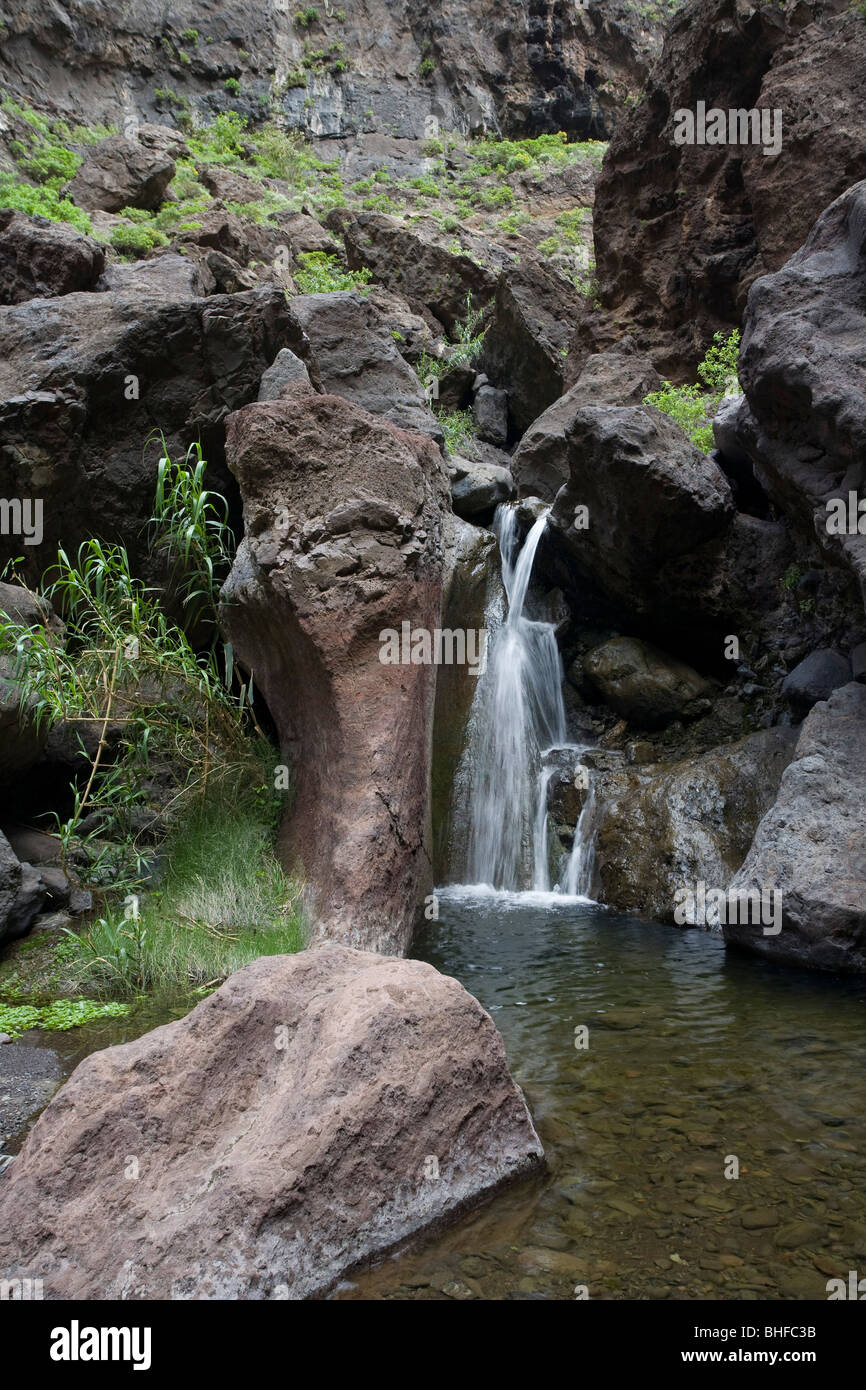 Waterfall at Masca gorge, Barranco de Masca, Parque Rural de Teno, Tenerife, Canary Islands, Spain, Europe Stock Photo