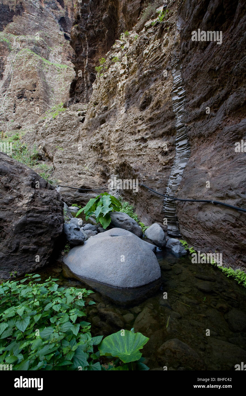 Aboriginal site at a brook, Masca canyon, Barranco de Masca, Parque rural de Teno, Tenerife, Canary Islands, Spain, Europe Stock Photo